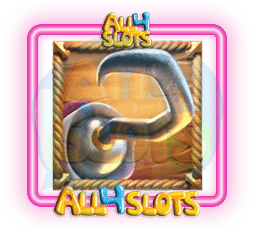 Captain's Bounty symbol 2