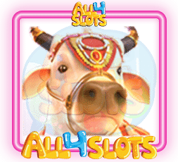 Ganesha Fortune วัว