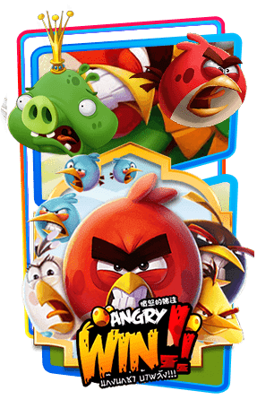ปก angry-win