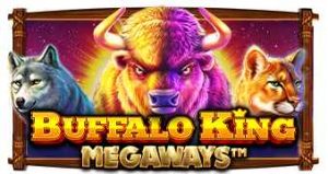 Buffalo King Megaways