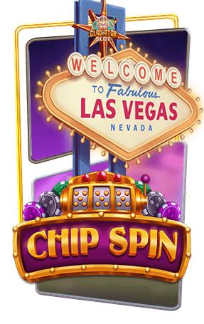ปก Chip Spin