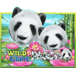 Wild Giant Panda