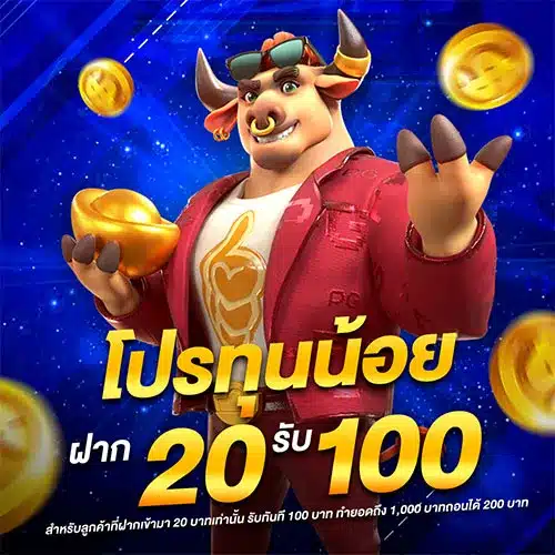 โปรทุนน้อย